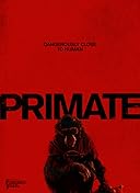 Primate