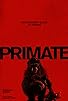 Primary photo for Primate