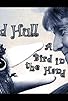 Primary photo for Rod Hull: A Bird in the Hand