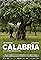 Calabria's primary photo