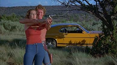 पोस्टर देखें