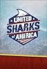Primary photo for United Sharks of America Primary photo for United Sharks of America