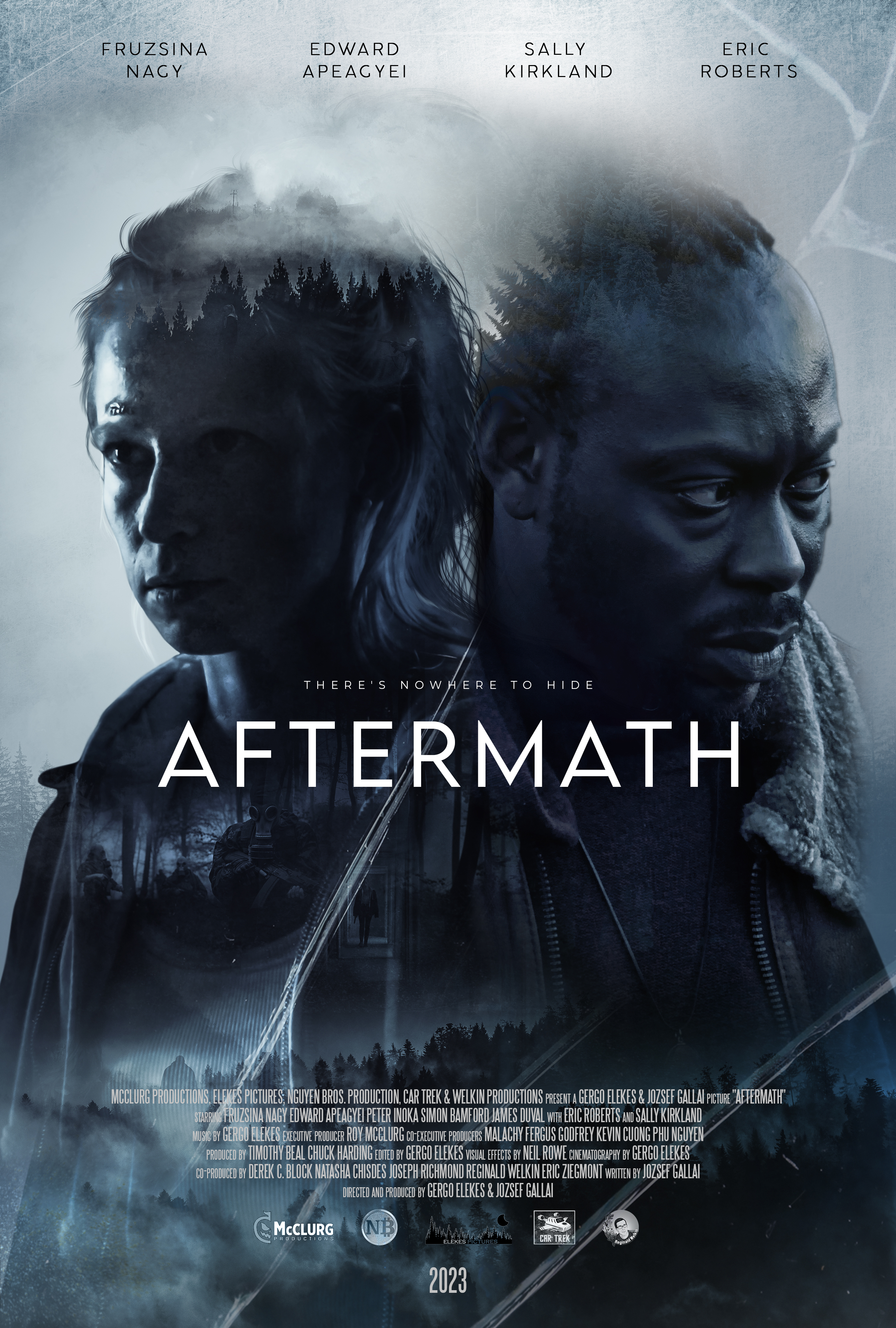 Poster of Aftermath