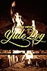 Primary photo for Adult Swim Yule Log Primary photo for Adult Swim Yule Log