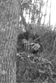 Primary photo for Terror of the Mutant