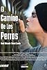 Primary photo for El Camino de los Perros Primary photo for El Camino de los Perros