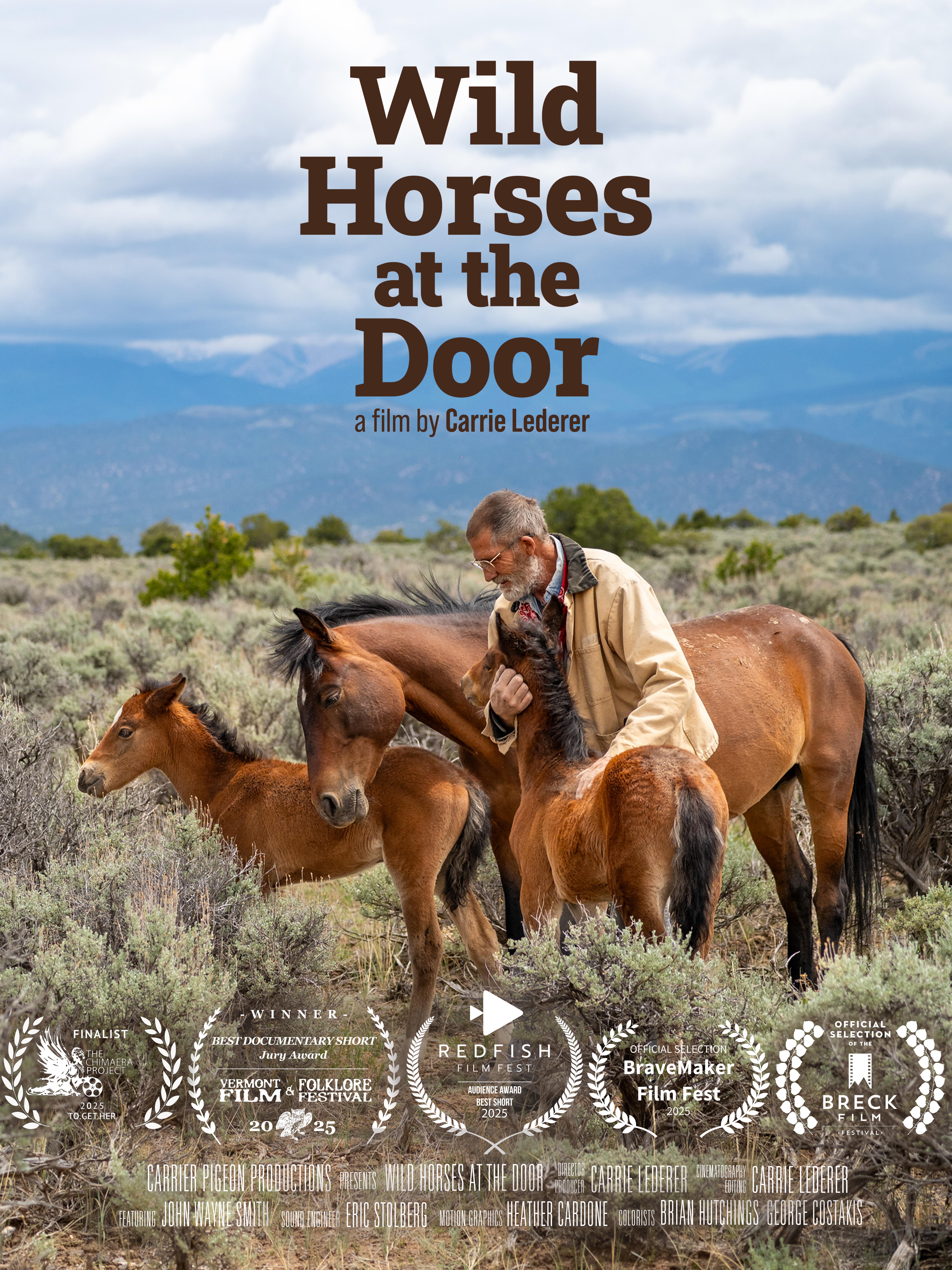 Wild Horses at the Door