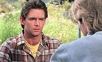 पोस्टर देखें