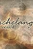 Primary photo for Michelangelo Revealed Primary photo for Michelangelo Revealed