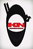Primary photo for Knighted Ninjas