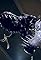 T-Rex Walks Again's primary photo