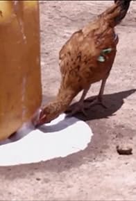 Primary photo for Poyo & Parties in Sierra Leone