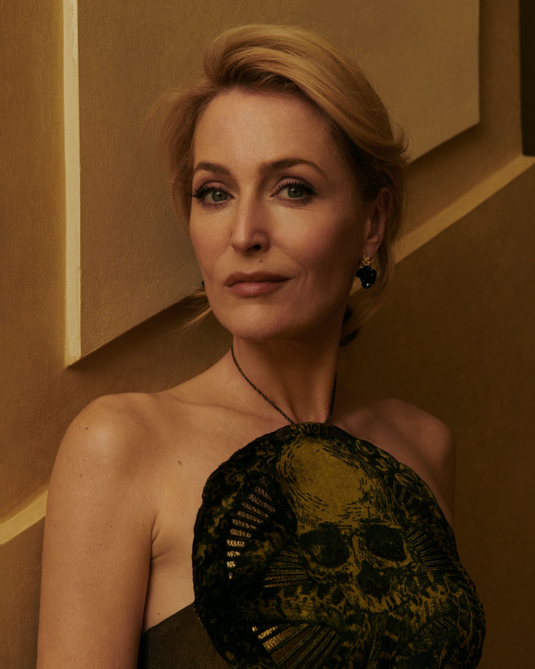 Gillian Anderson image