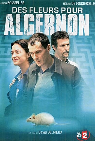 Primary photo for Des fleurs pour Algernon Primary photo for Des fleurs pour Algernon