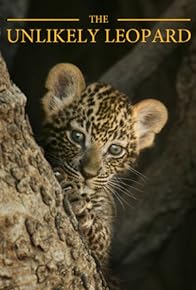 Primary photo for The Unlikely Leopard