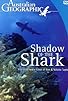 Primary photo for Shadow of the Shark Primary photo for Shadow of the Shark