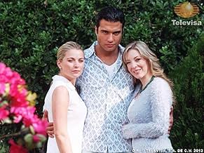 पोस्टर देखें