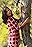 Tanu Bhardwaj's primary photo