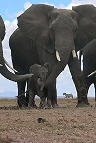 Primary photo for Love