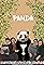 Panda's primary photo