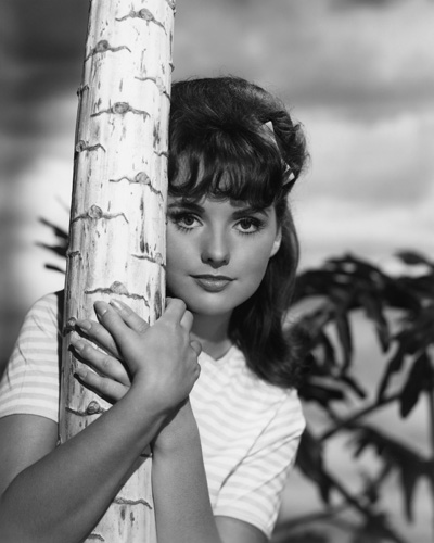 Gilligan's Island (1964) - Dawn Wells’s Height: How Tall Was Gilligan’s Island Star?