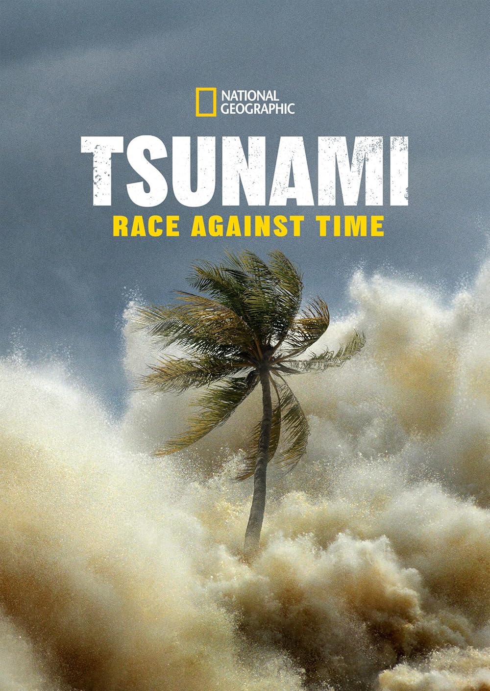 Watch tsunami race against time online