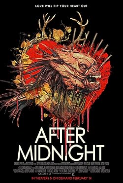 Poster of After Midnight (2020)