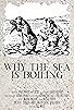 Primary photo for Why the Sea Is Boiling Primary photo for Why the Sea Is Boiling