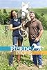 Primary photo for Die Pferdeprofis Primary photo for Die Pferdeprofis