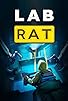 Primary photo for Lab Rat Primary photo for Lab Rat