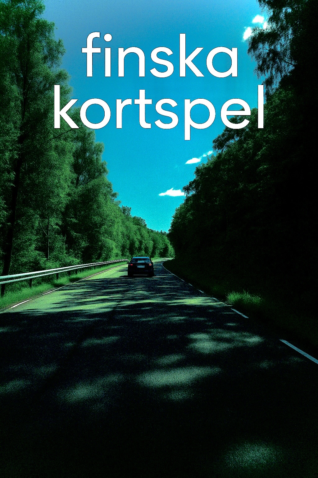 Finska kortspel