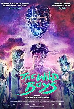 Poster of The Wild Boys