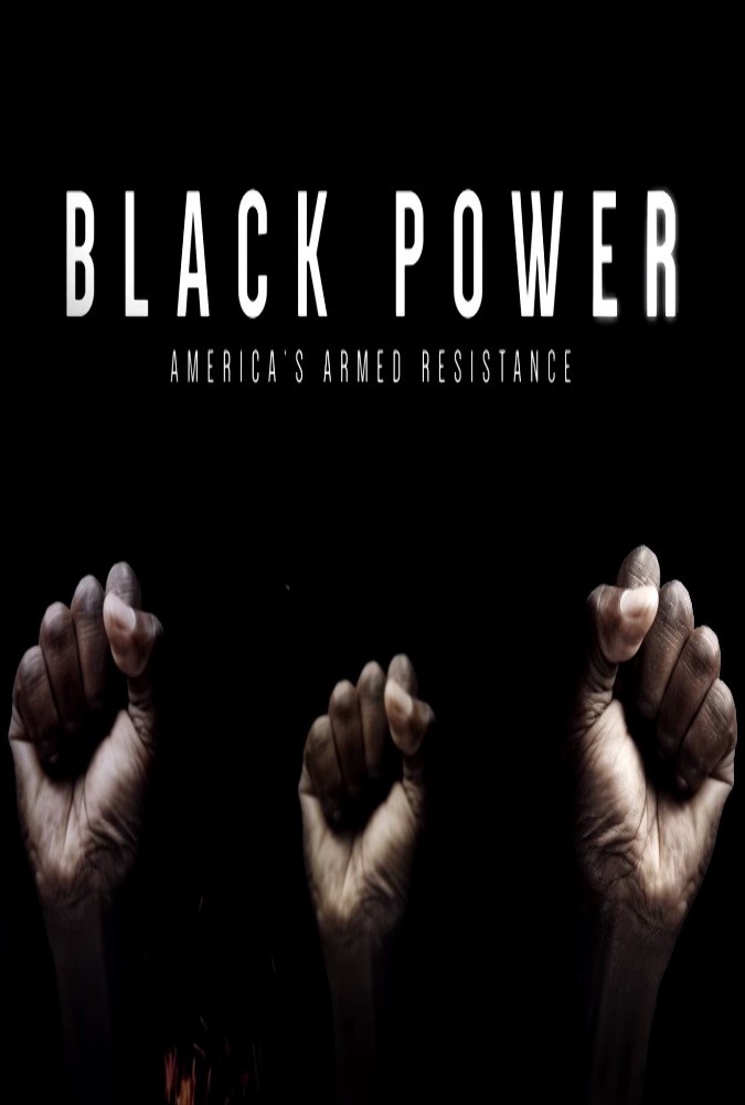 Poster of Black Power: America's Armed Resistance