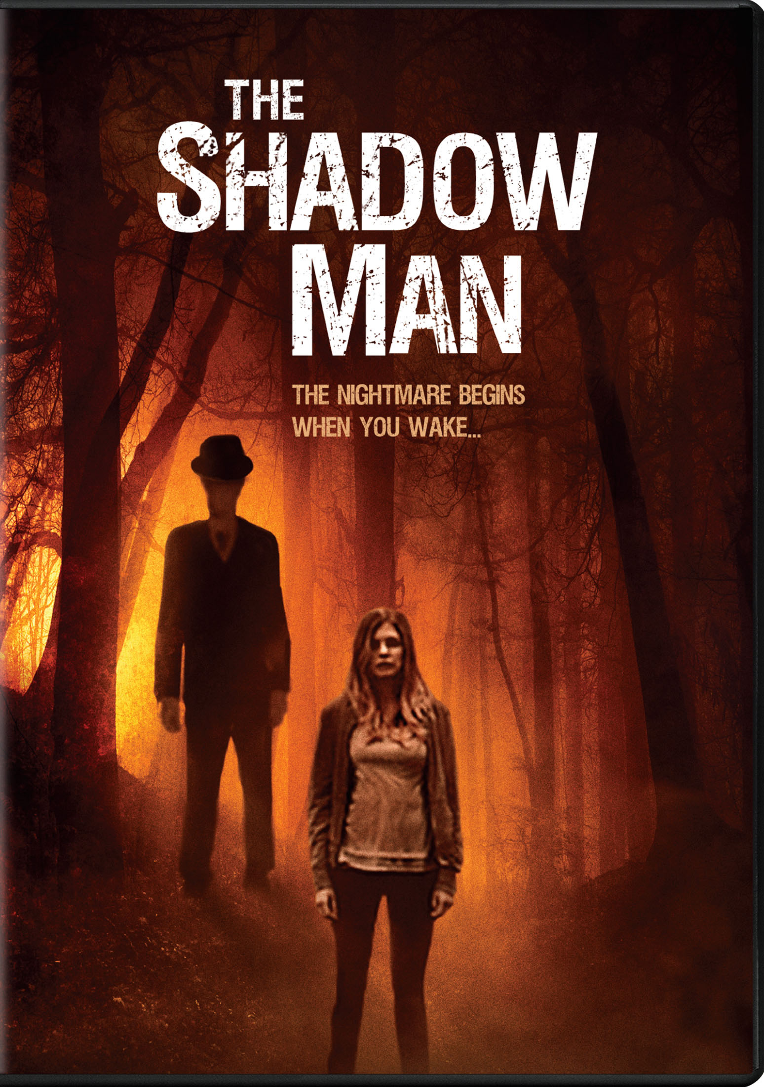 Poster of The Man in the Shadows