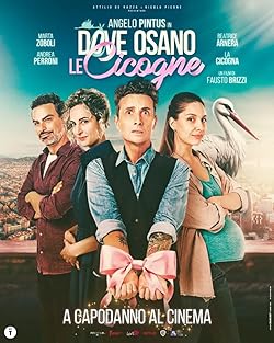 Poster of Dove osano le cicogne