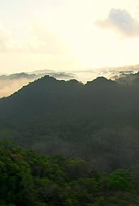 Primary photo for Belize: Jungle and Coral