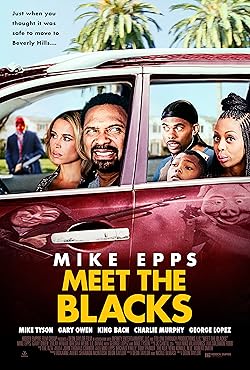Poster of Meet the Blacks