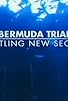 Primary photo for The Bermuda Triangle: Startling New Secrets Primary photo for The Bermuda Triangle: Startling New Secrets