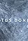 Motus Donum's primary photo