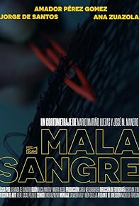 Primary photo for Mala Sangre