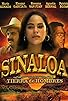 Primary photo for Sinaloa, tierra de hombres