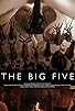 Primary photo for The Big Five