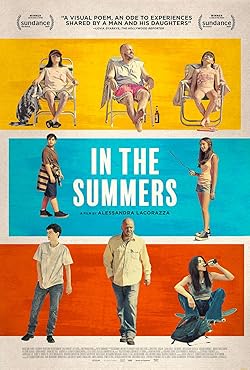 Poster of In the Summers