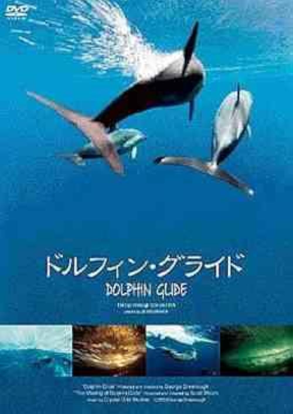 その他 Dancing With Dolphins [DVD] 51EA1RW13QL._UF350,350_QL50_.jpg