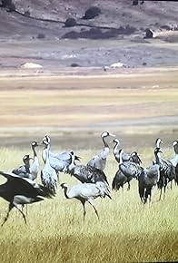 Primary photo for Wild Iberia