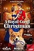 Primary photo for A Royal Corgi Christmas