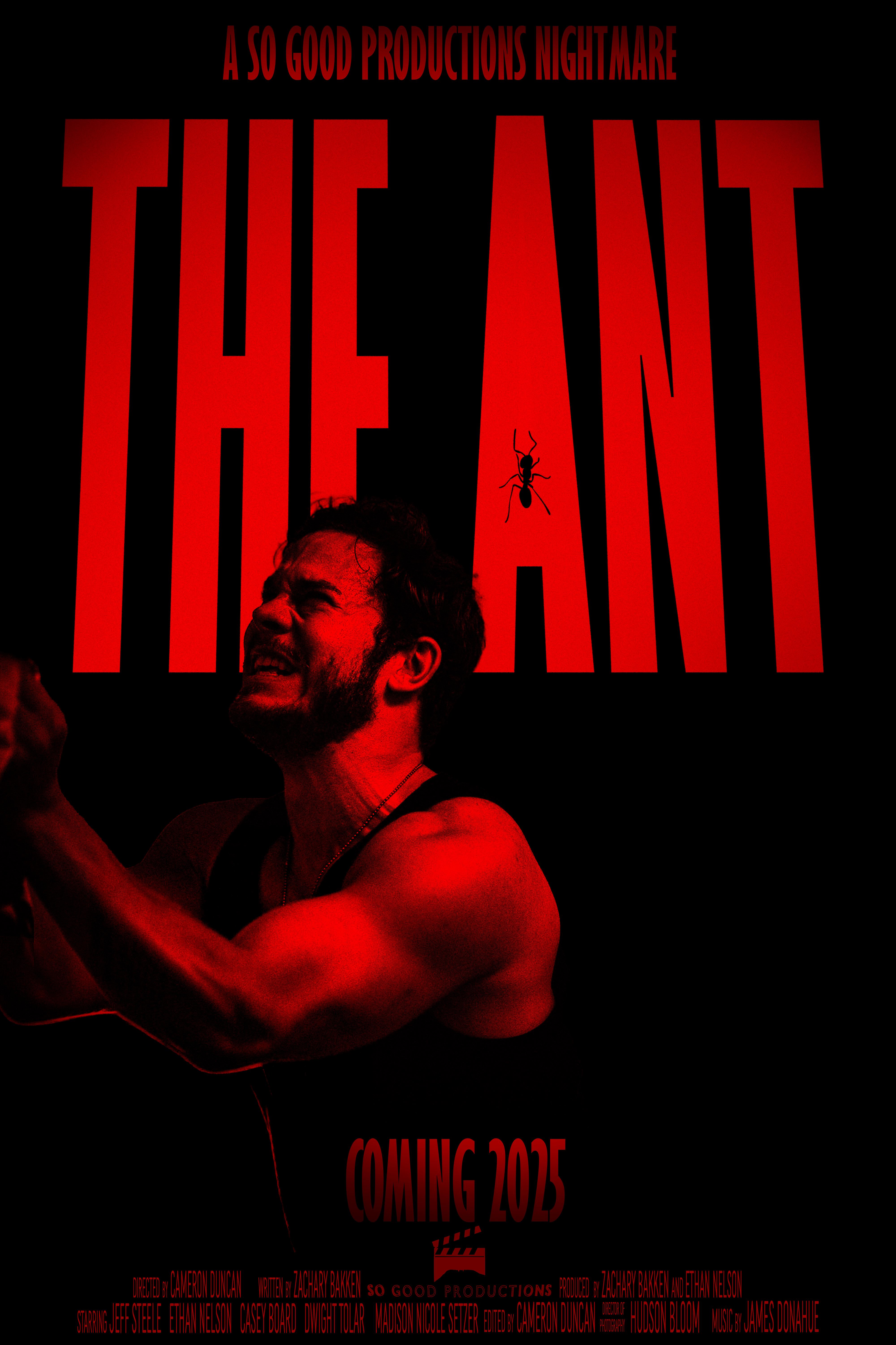 The Ant