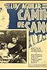 Primary photo for Caminos de sangre Primary photo for Caminos de sangre