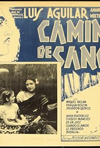 Primary photo for Caminos de sangre Primary photo for Caminos de sangre