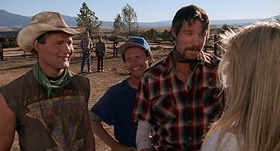 पोस्टर देखें